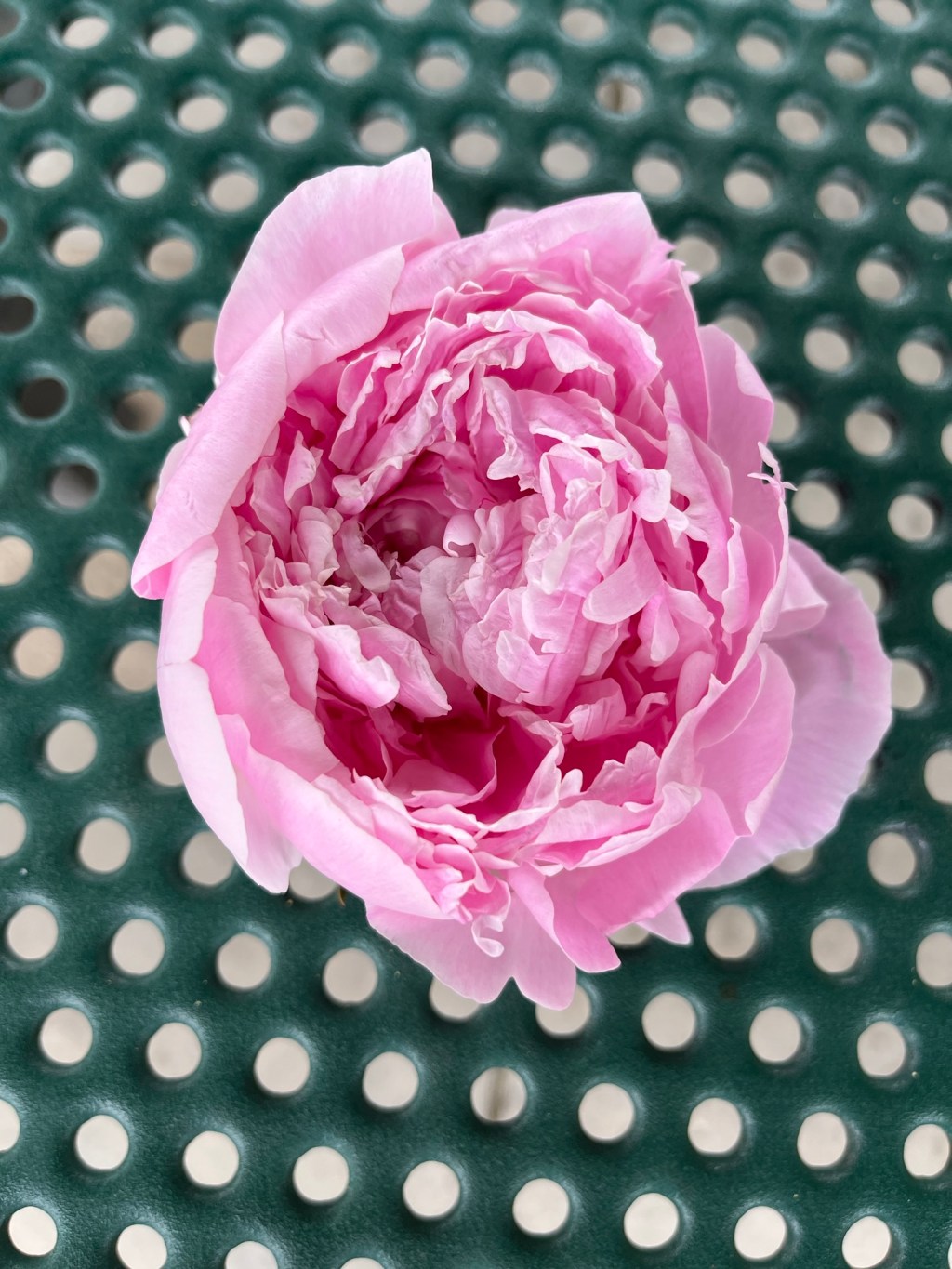 I deserve a life that doesn’t hurt (author’s&nbsp;post)